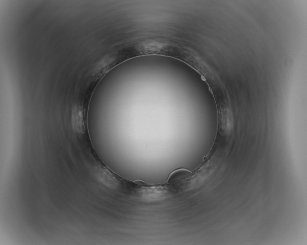 X0000113200378200909101117