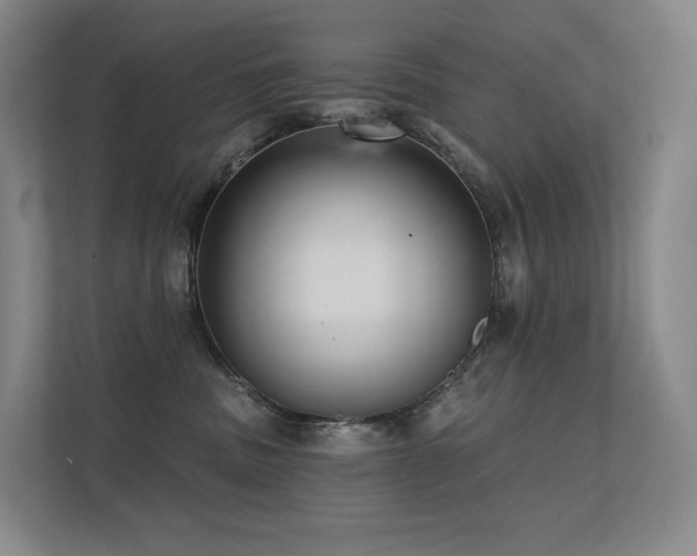 X0000113200379200909101117