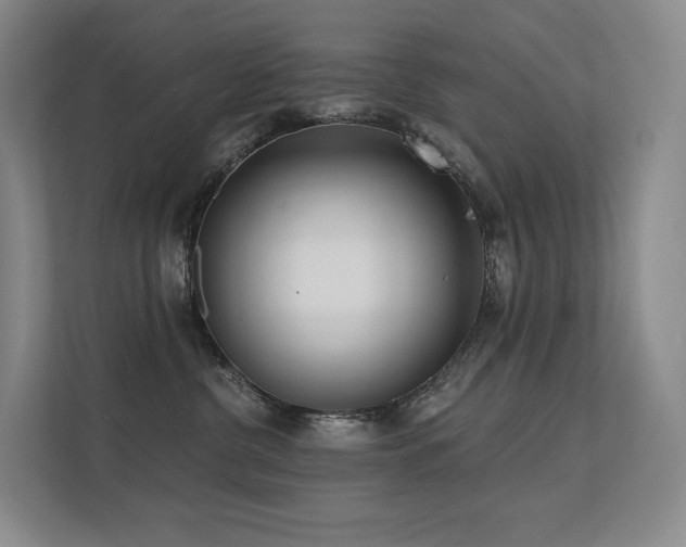 X0000113200380200909101117