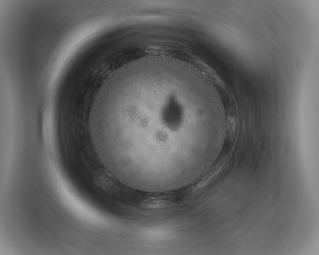 X0000113200381200909101117