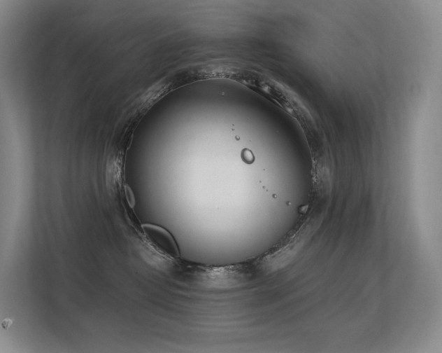 X0000113200382200909101117