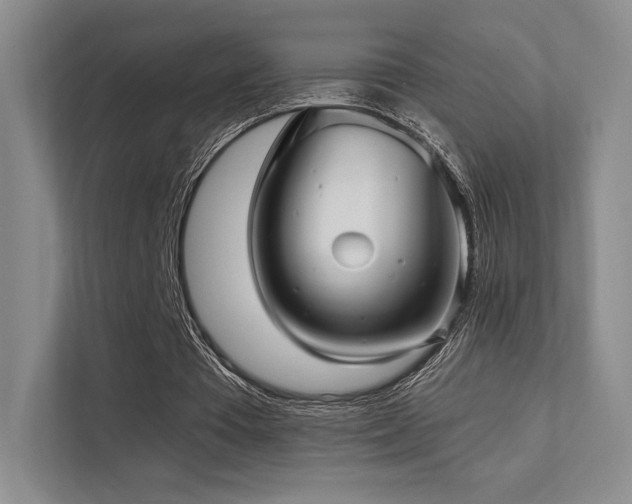 X0000113200385200909101116