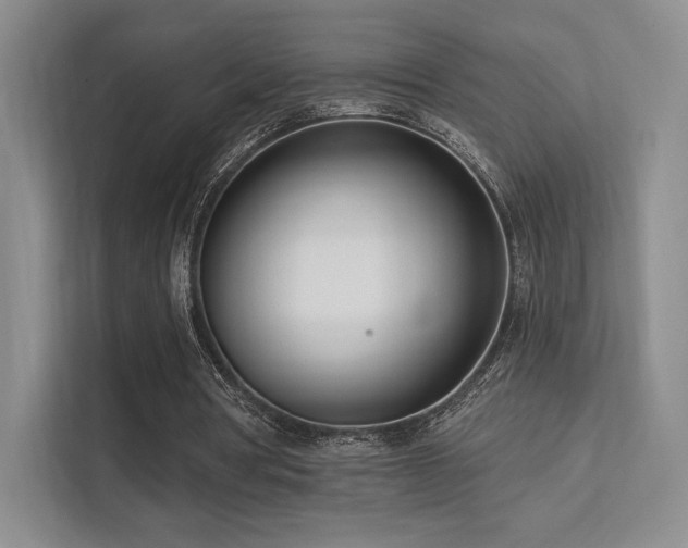 X0000113200386200909101116