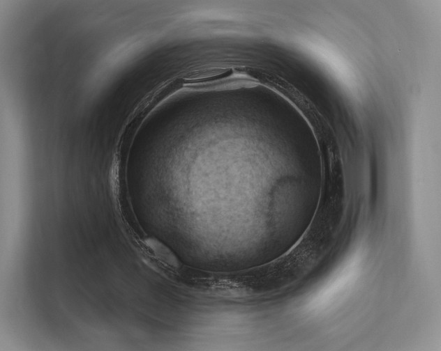 X0000113200387200909101116