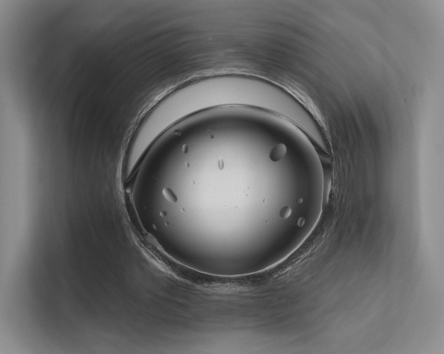 X0000113200389200909101116