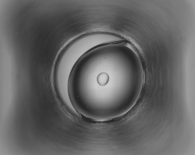 X0000113200391200909101116