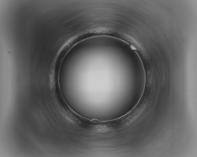 X0000113200392200909101116