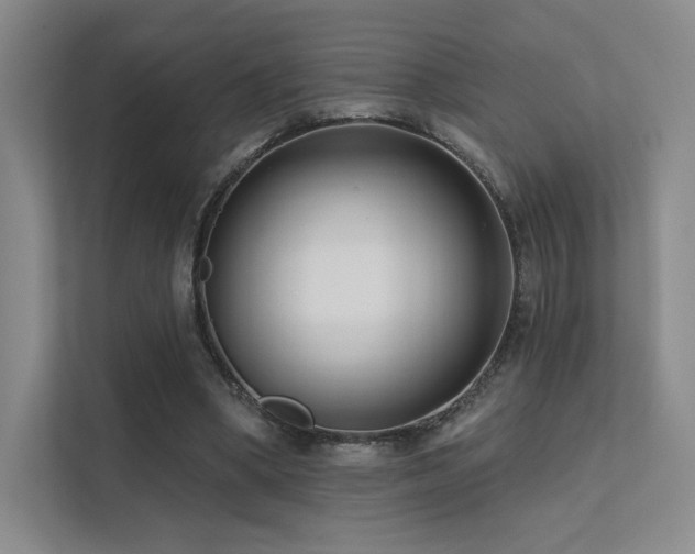 X0000113200394200909101116