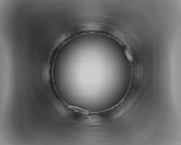 X0000113200395200909101116