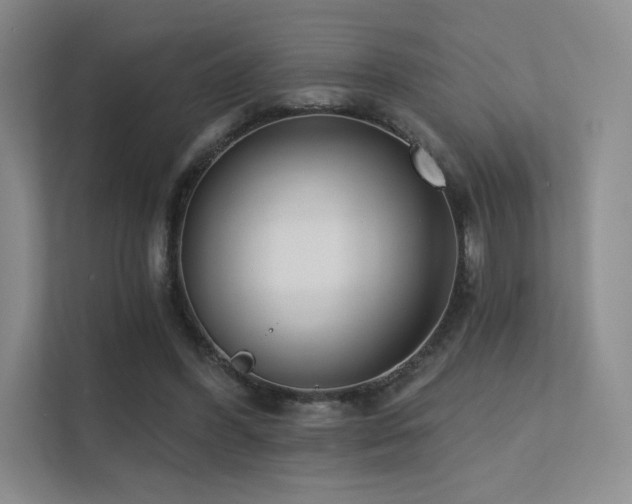 X0000113200396200909101116