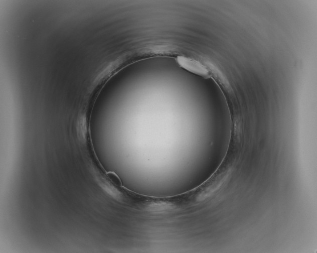 X0000113200397200909101116