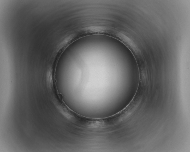 X0000113200398200909101116