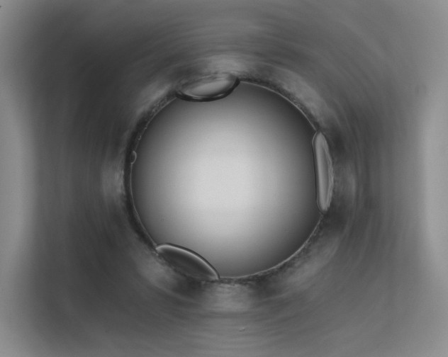 X0000113200399200909101116