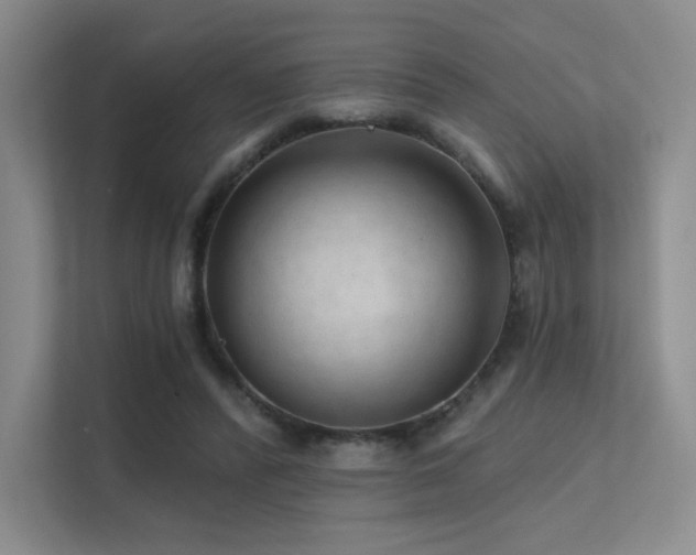 X0000113200400200909101116