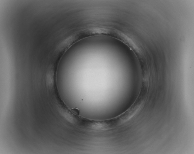 X0000113200402200909101116