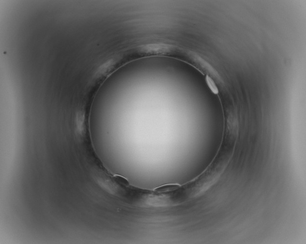 X0000113200403200909101116