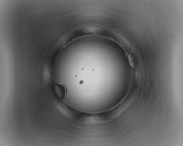 X0000113200408200909101116