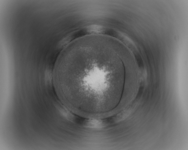 X0000113200409200909101116