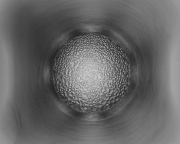 X0000113200410200909101116