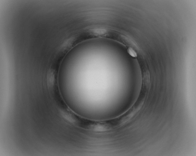 X0000113200412200909101116