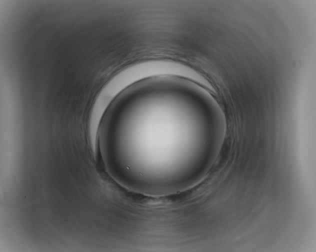 X0000113200415200909101116