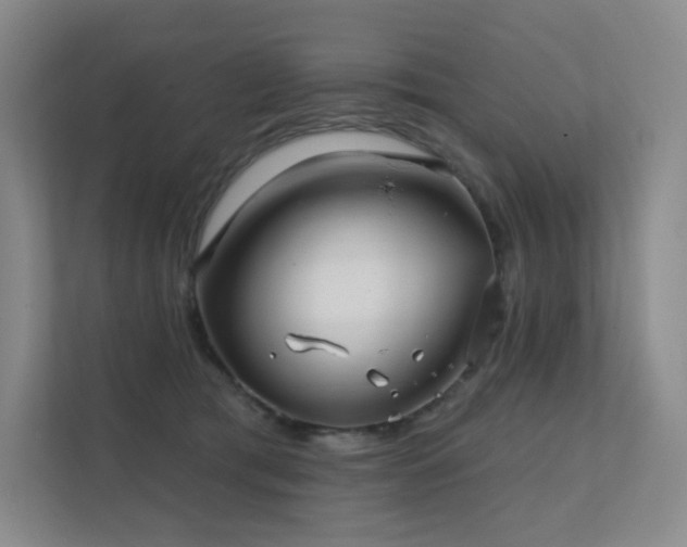 X0000113200417200909101116