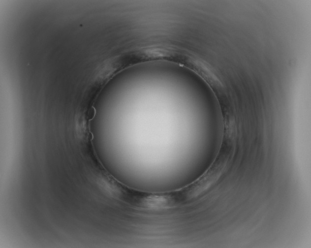 X0000113200418200909101116