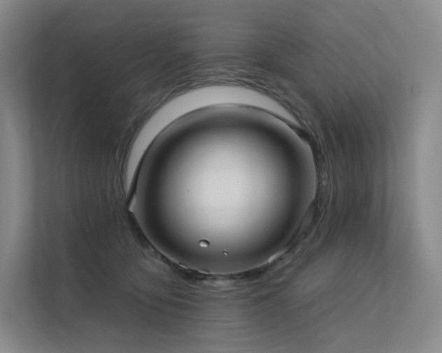 X0000113200419200909101116