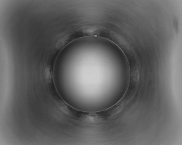 X0000113200420200909101116