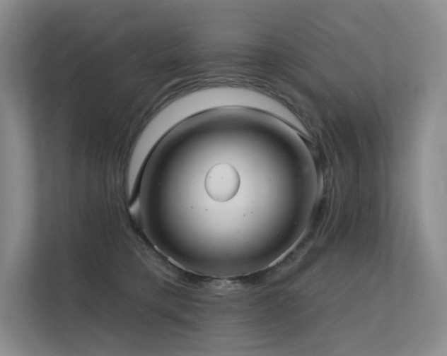 X0000113200421200909101116