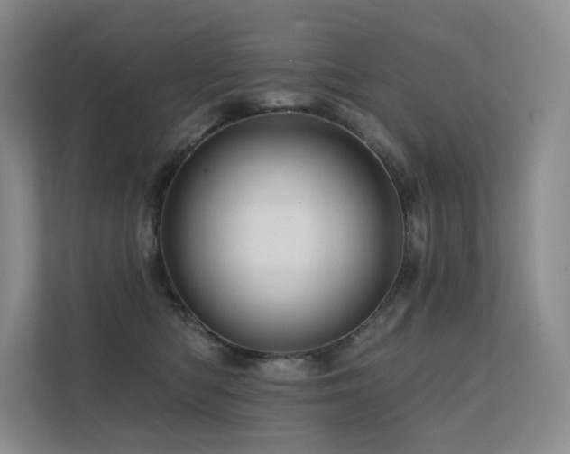 X0000113200422200909101116