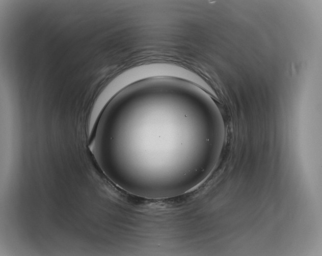 X0000113200423200909101116