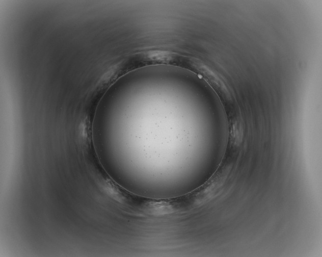 X0000113200424200909101116