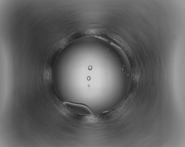 X0000113200425200909101116