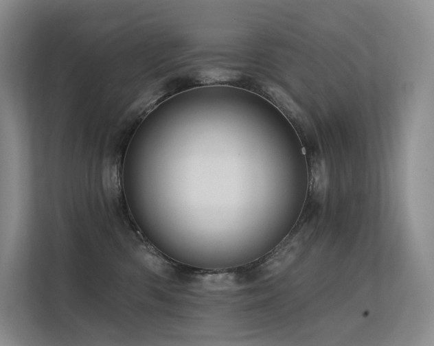 X0000113200426200909101116