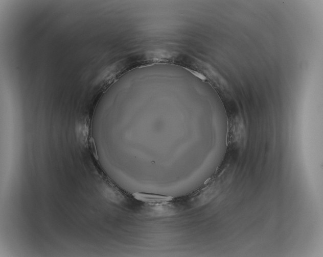 X0000113200427200909101116