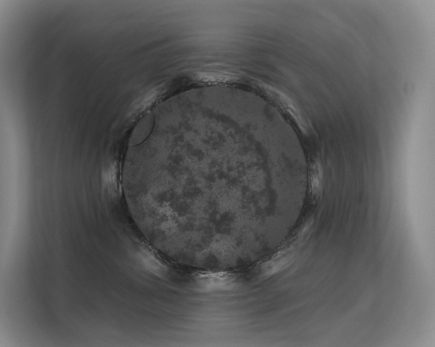 X0000113200428200909101115