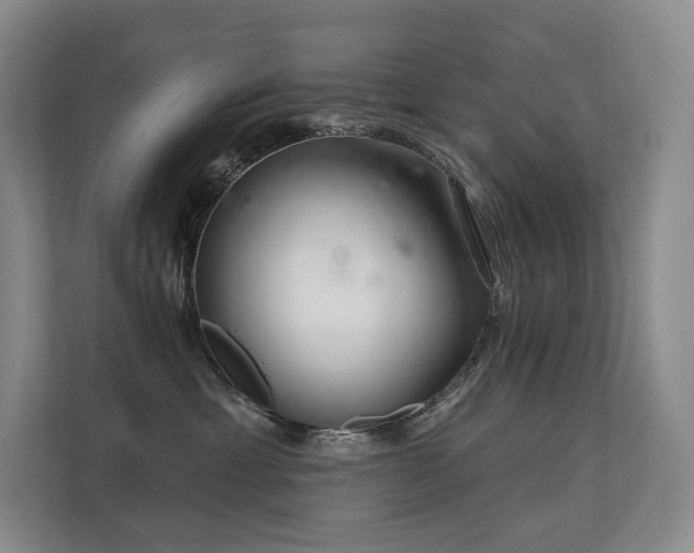 X0000113200429200909101115