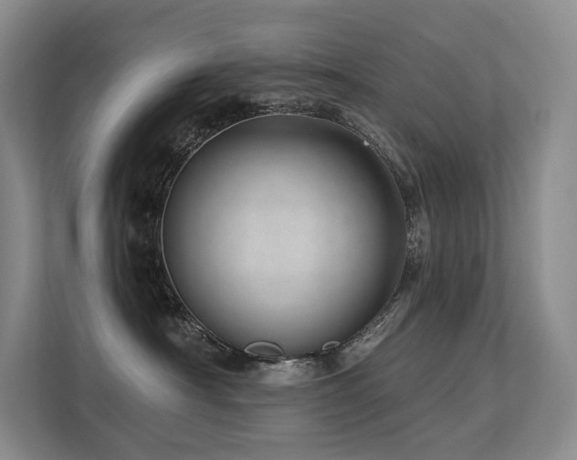 X0000113200430200909101115