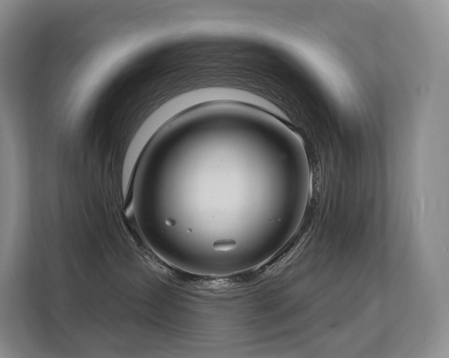 X0000113200431200909101115