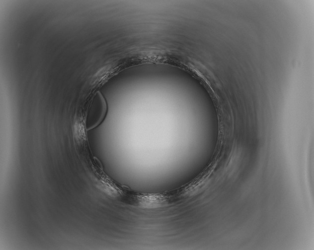 X0000113200432200909101115