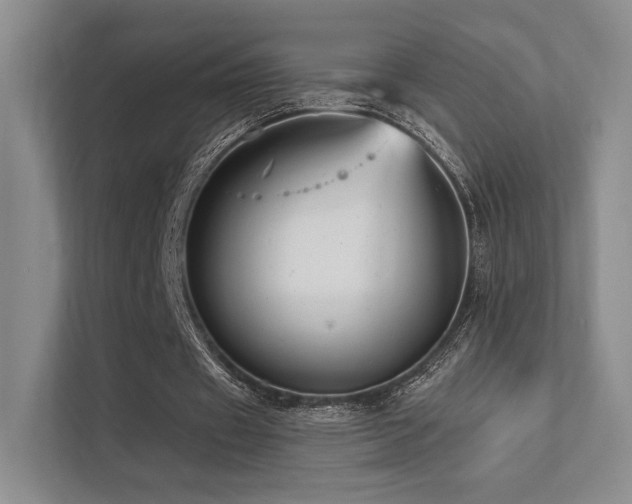 X0000113200433200909101115