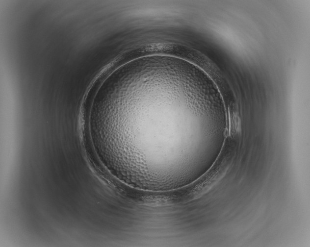 X0000113200435200909101115