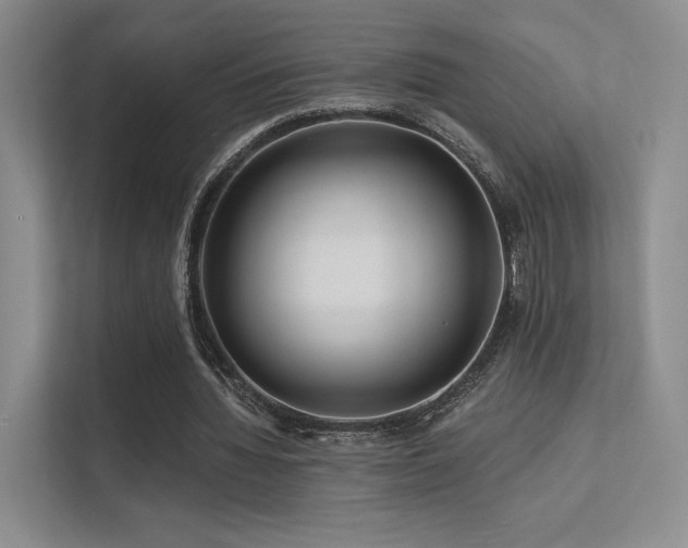 X0000113200436200909101115