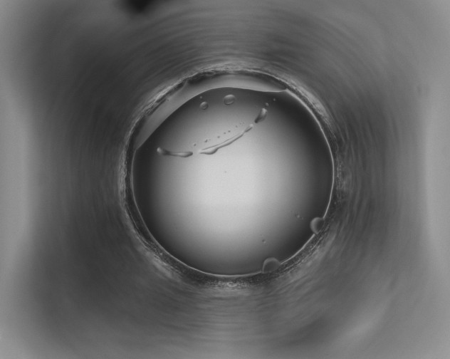 X0000113200437200909101115