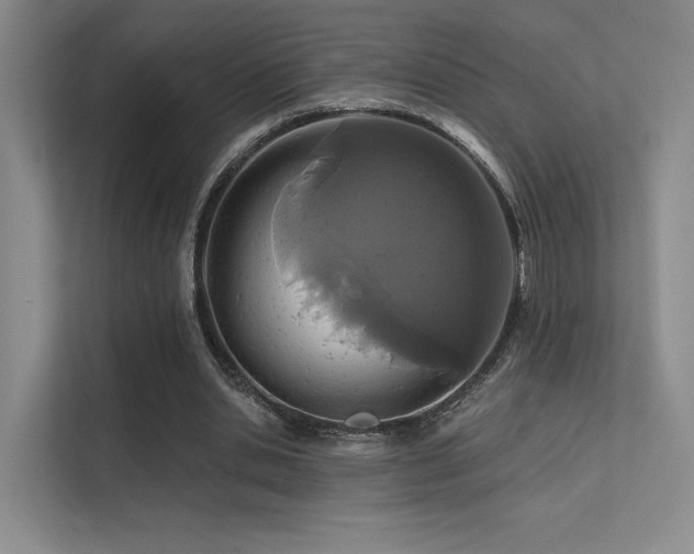 X0000113200438200909101115