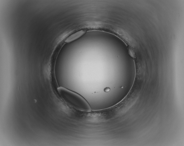 X0000113200440200909101115