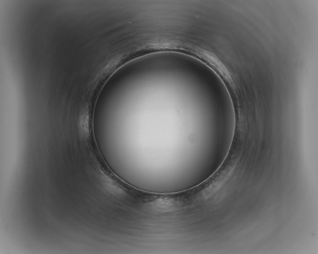 X0000113200441200909101115