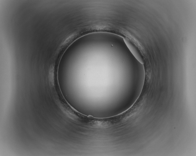 X0000113200442200909101115