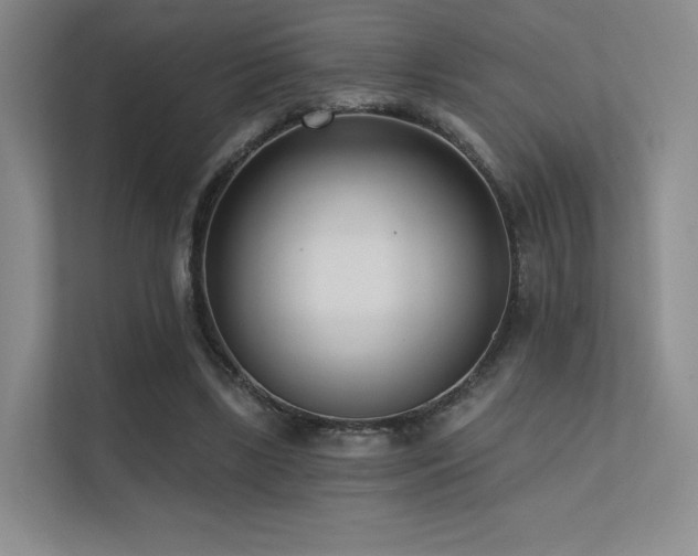 X0000113200443200909101115